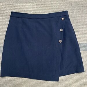 Banana Republic Navy Mini Skirt